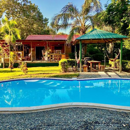 Uvita Oasis Retreat With Villa Cabins And Apartment 外观 照片