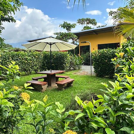 Uvita Oasis Retreat With Villa Cabins And Apartment 外观 照片