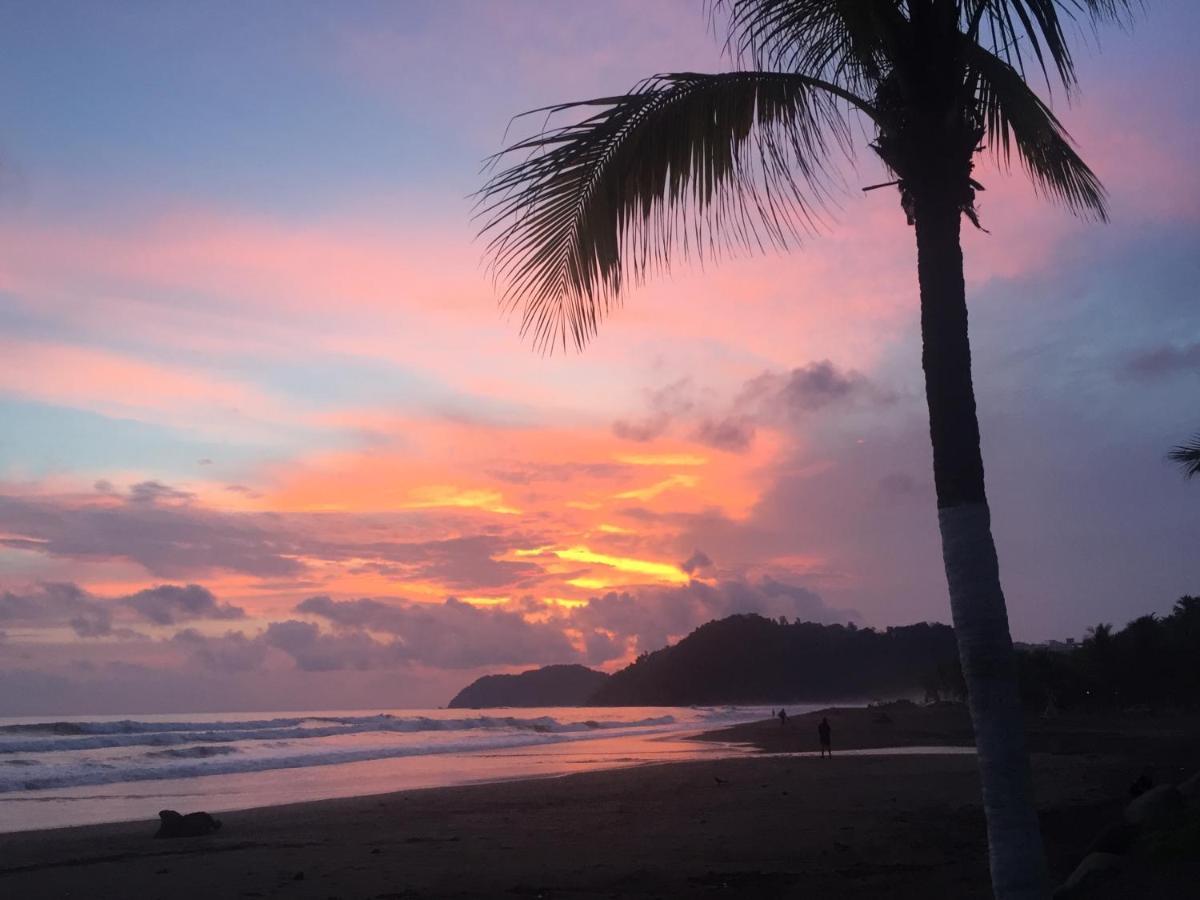 Uvita Oasis Retreat With Villa Cabins And Apartment 外观 照片