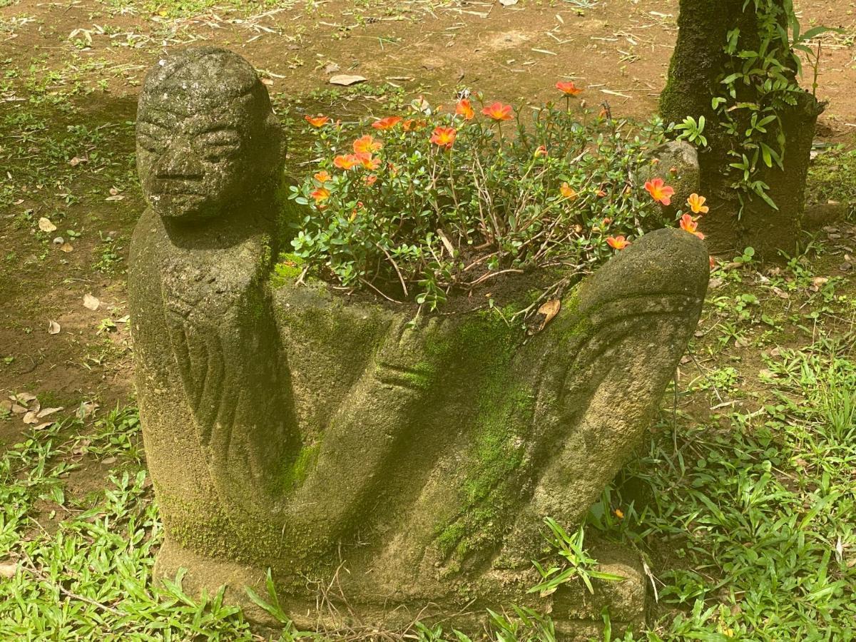 Uvita Oasis Retreat With Villa Cabins And Apartment 外观 照片