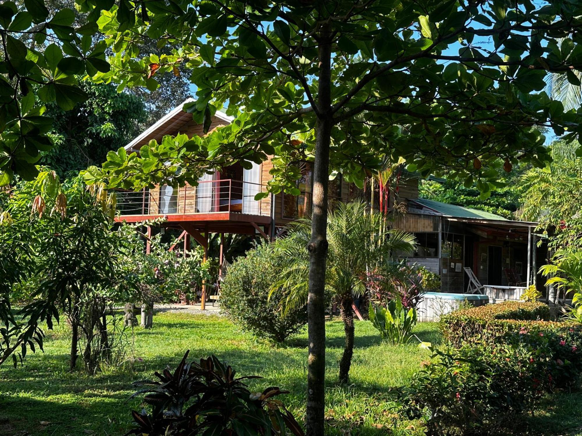 Uvita Oasis Retreat With Villa Cabins And Apartment 外观 照片