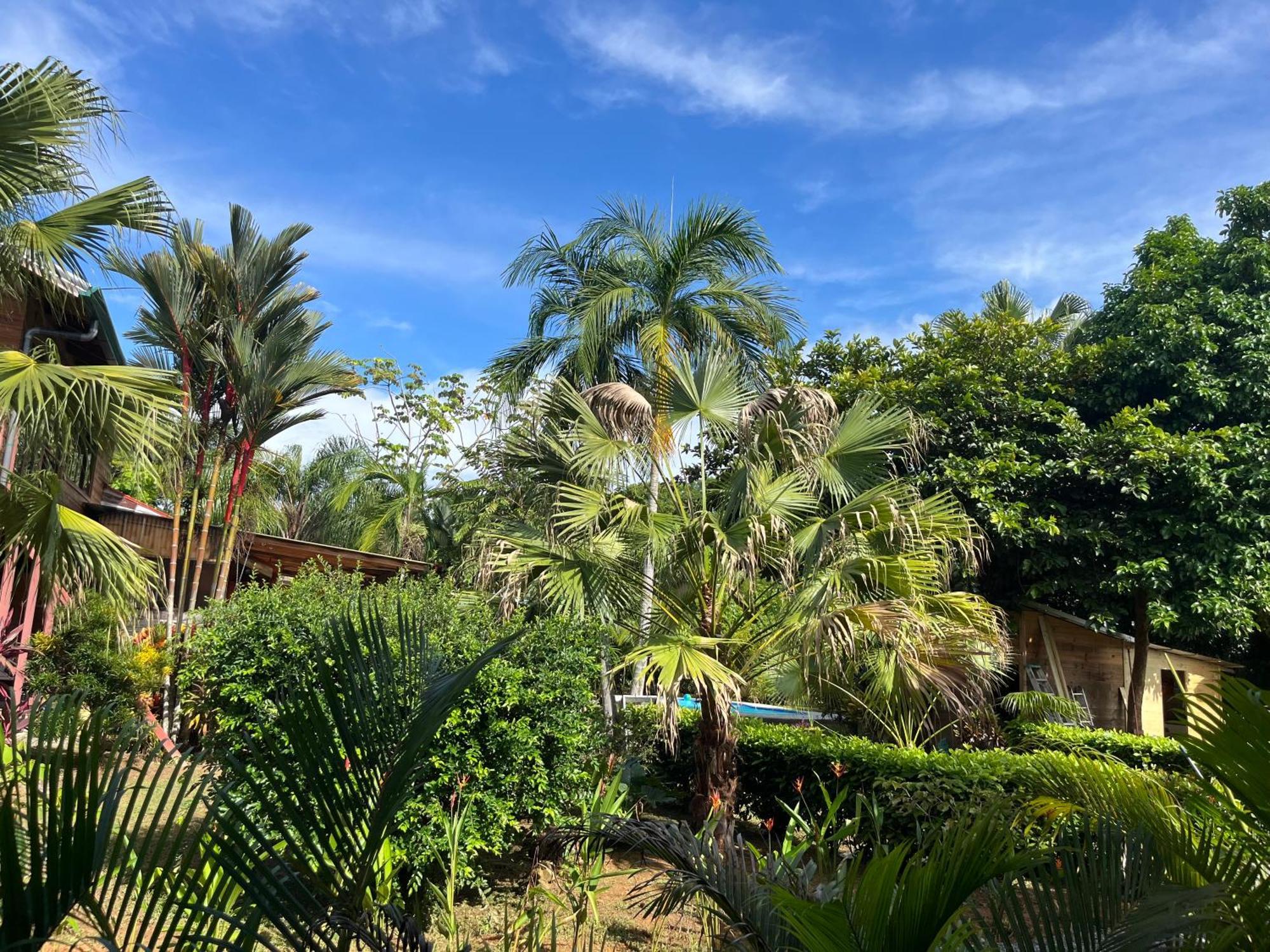 Uvita Oasis Retreat With Villa Cabins And Apartment 外观 照片