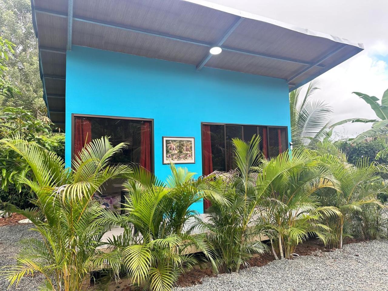 Uvita Oasis Retreat With Villa Cabins And Apartment 外观 照片