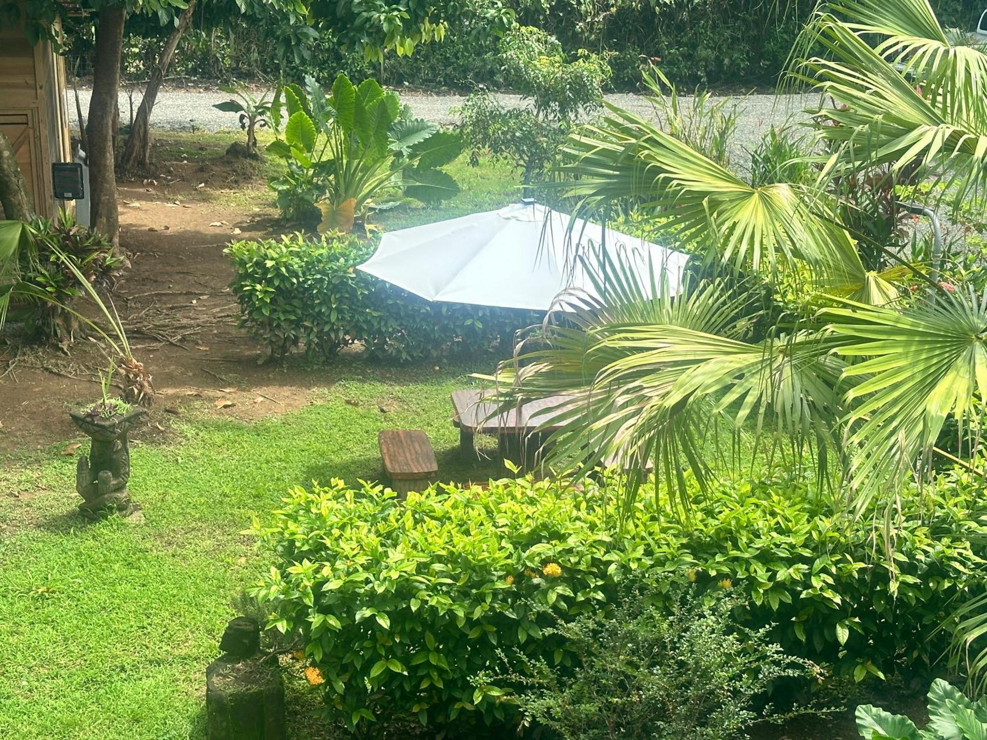 Uvita Oasis Retreat With Villa Cabins And Apartment 外观 照片