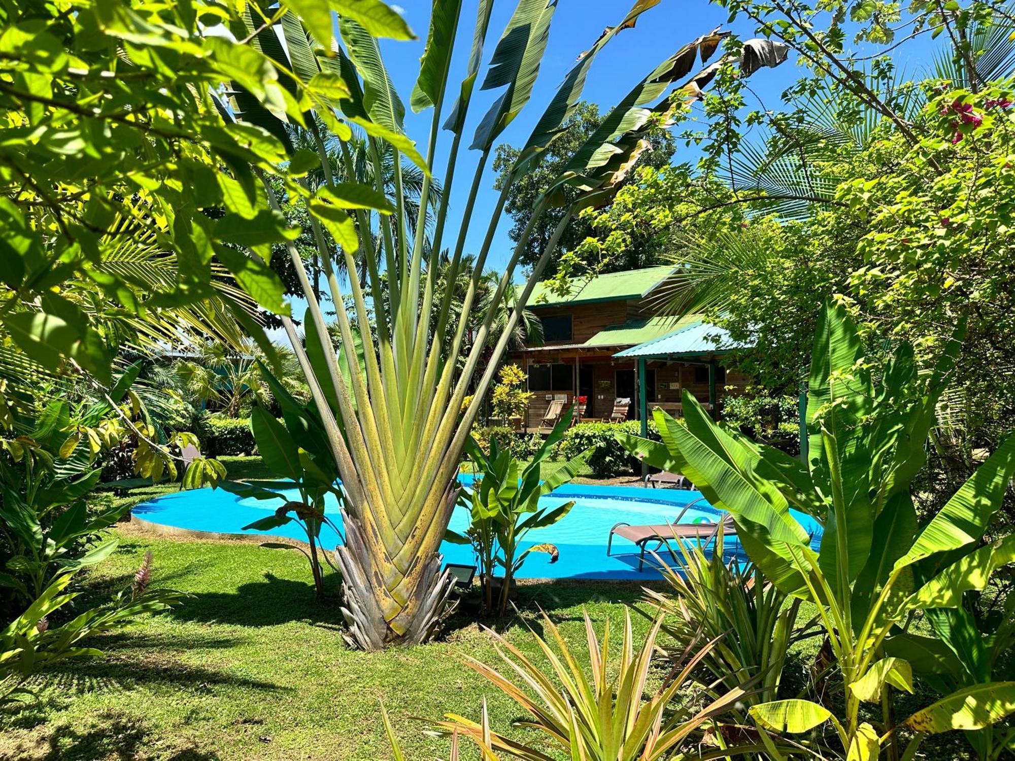 Uvita Oasis Retreat With Villa Cabins And Apartment 外观 照片
