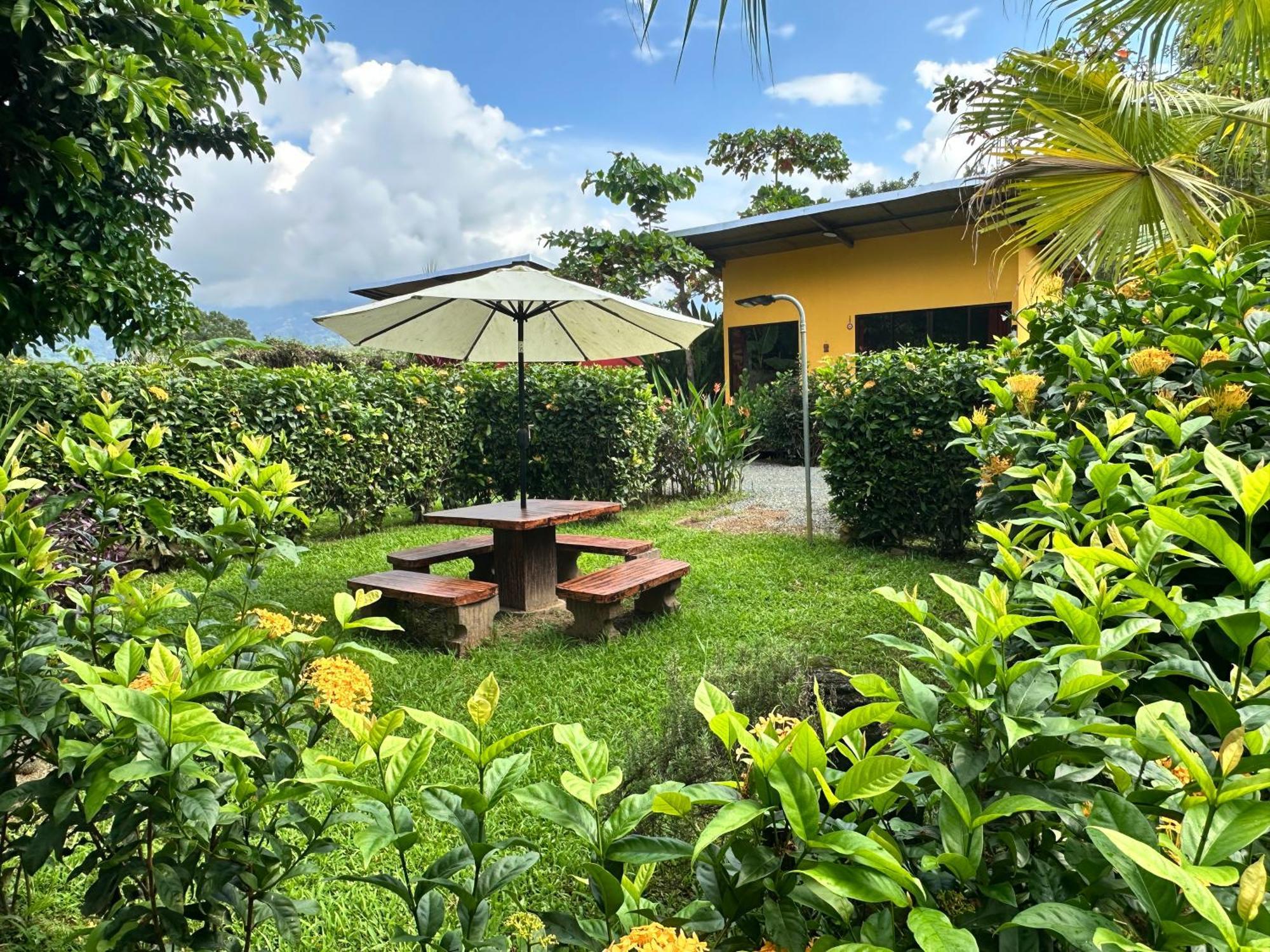 Uvita Oasis Retreat With Villa Cabins And Apartment 外观 照片