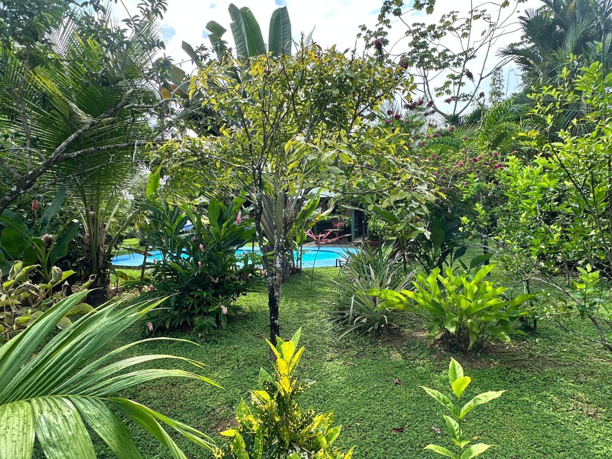 Uvita Oasis Retreat With Villa Cabins And Apartment 外观 照片